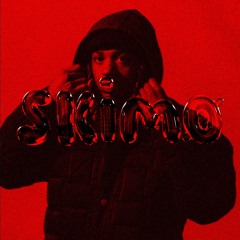 Metro Boomin, Future - Like That (skimø edit)