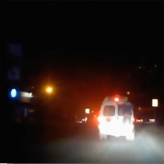 собаки темные +voidvoice717