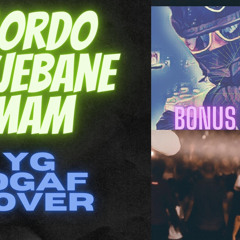 Mordo wyjebane mam . Yg IDGAF cover br MrFox