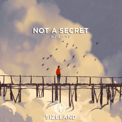 RIZIS Wan feat LIYU - Not a Secret