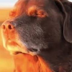 another shitty freestyle