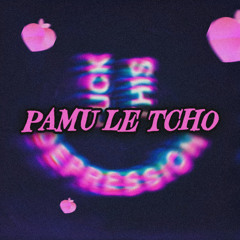 Pamu le Tcho - DNK