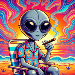 spliffs n riffs