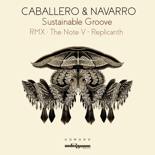 Navarro & Caballero - Sustainable Groove (Original Mix)