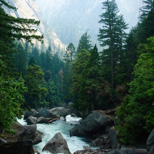 Stillness (Unspeakable World) Alan Watts
