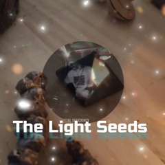 [THE LIGHT SEEDS] |Chill sides|