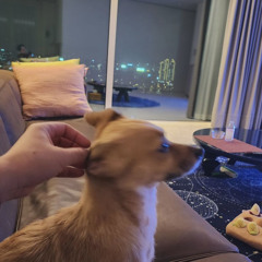 한장면