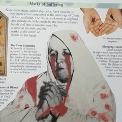 Dimmortalz - DIMMORTALZ IS DEAD