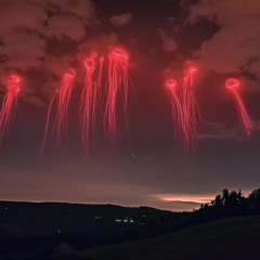 Tears of blood.m4a (raw)