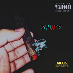 Meek Osamã ~ Spliff