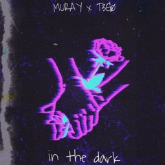 In The Dark  (Ft. T3G0) (Free Dll)