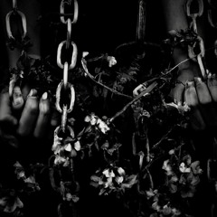Break The Chains