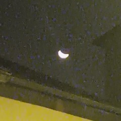 loading the new world