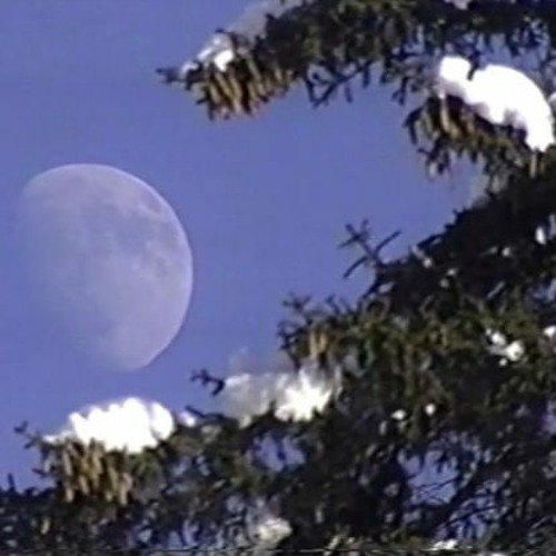 idk what to tell u (draft)