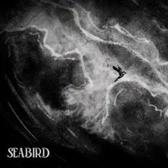 Take Flight - From the film 'Seabird'