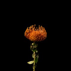 RUST( Oceanwaves x Ambient Light )