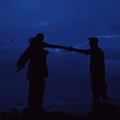 Moonlit Silence // Лунная тишина