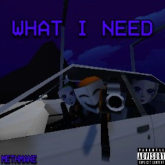WHAT I NEED