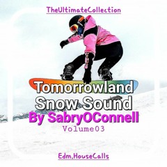 Tomorrowland Winter Snow Sound By SabryOConnell Volume 03