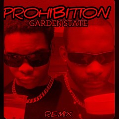 KING JACKSON - PROHIBITION REMIX ft DJRICHBOY (AUDIO)
