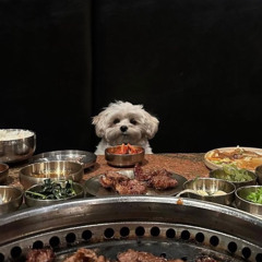 Playboicarti - did it again (432Hz  slowed & reverb) [reupload].mp3