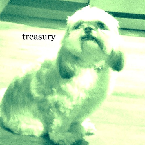 treasury