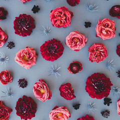 سورة الأعراف - أحمد العجمي