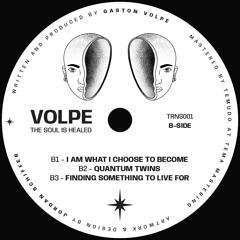 Volpe - I Am What I Choose To Become [TRNS001]