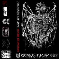 JUNKIE PLVYA x DJ THROE - ETERNAL PACIFICATION