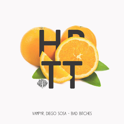 Diego Sosa, VAMPYR - Bad Bitches (Original Mix)