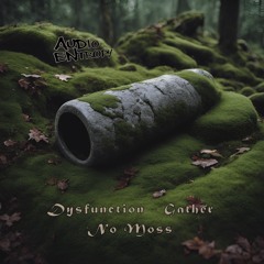 Dysfunction - Run RDM [Premiere]