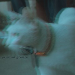 youremakingmesane