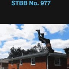 STBB#977 Hosted by The Widely Unknown
