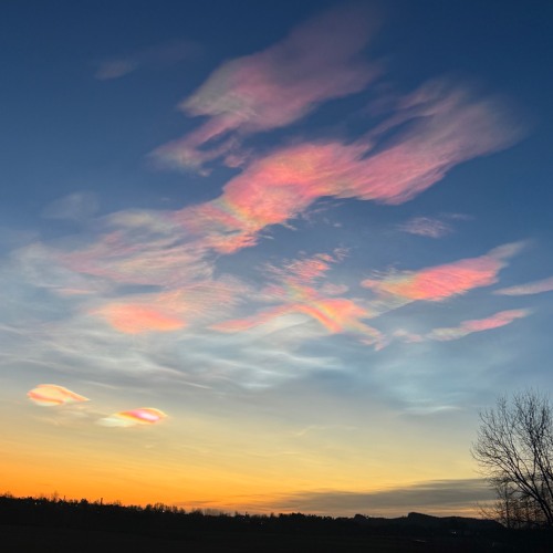 My Organic Morning Coffee #15