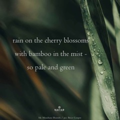 So Pale - naviarhaiku543