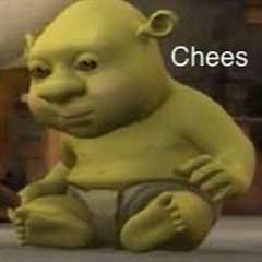 Say Chees