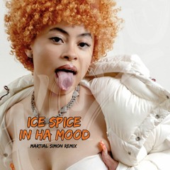 Ice Spice - In Ha Mood (Martial Simon Remix)
