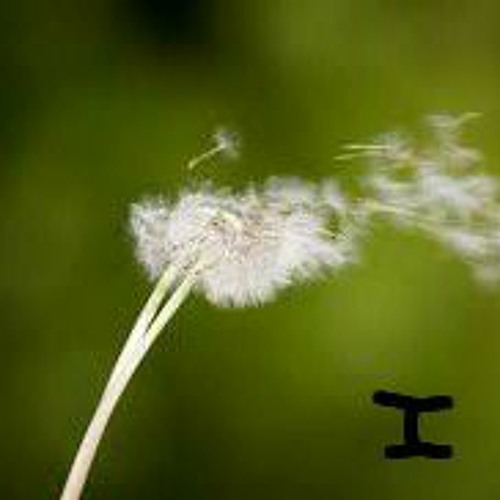 Chill Out and Vibe {FULL} I