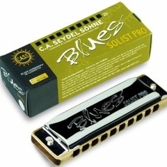 Seydel Solist Pro Harmonica for Blues and Folk Music