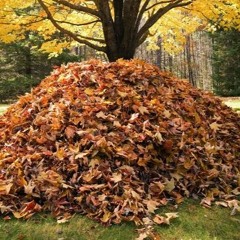 JIM (but we don't speak about him)