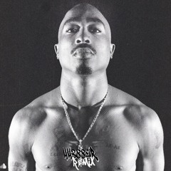 2Pac - Fake Ass Bitches (44388er Remix)