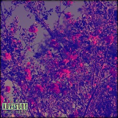 She Say (slowed + reverb)