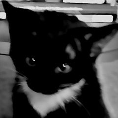 creepin(TyDavid)