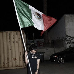 MEXICANO FREESTYLE