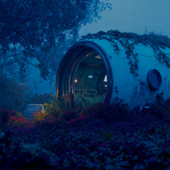 Bloom Module
