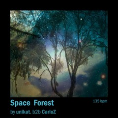 Space Forest (b2b CarloZ)