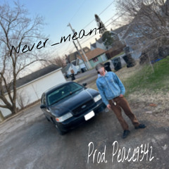 never_meant prod. peace9342