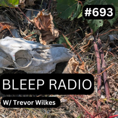 Bleep Radio #693- Trevor Wilkes [Wide Swallow Angle]
