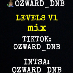 LEVELS V1 MIX