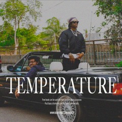 "Temperature" Rema X Shalipoppi X Odumodublvck (Prod. RVDIO9) 113bpm